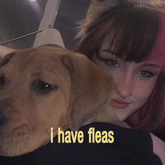 izzytheweeaboo